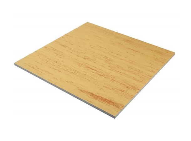 Sportsgulv-Matte 100 x 100 x 2.5 cm 